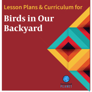 Homeschool Planet Birds in Our Backyard lesson plans and curriculum button