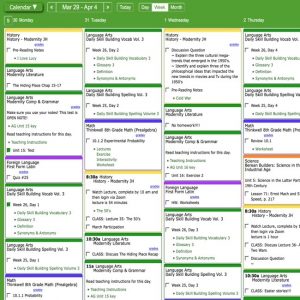 Weekly lesson plan overview online