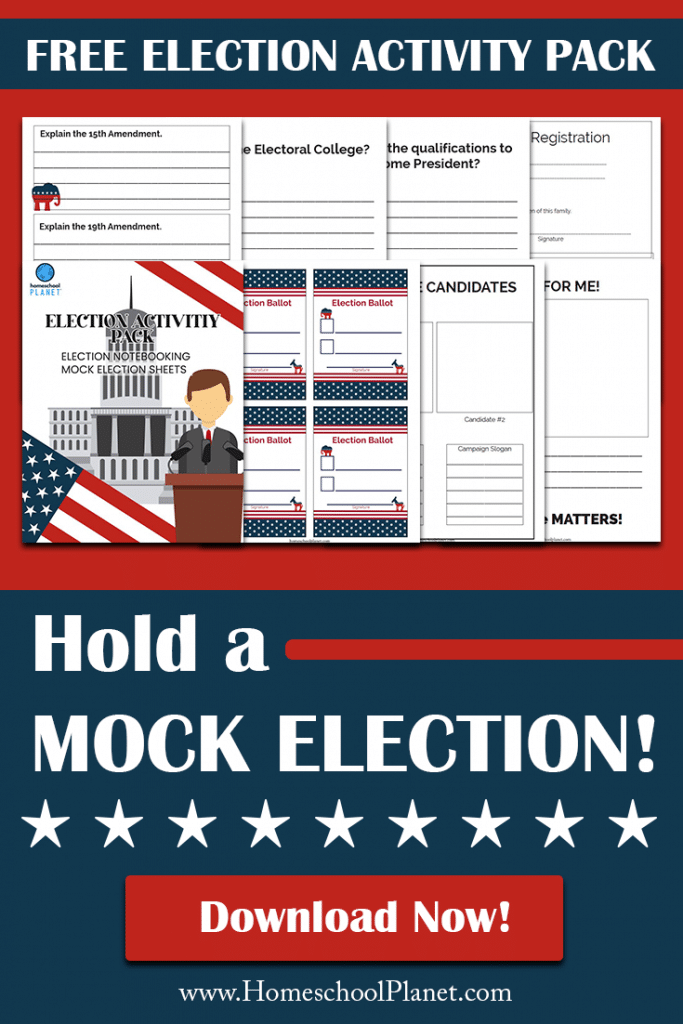 Election Activity Pack PIN