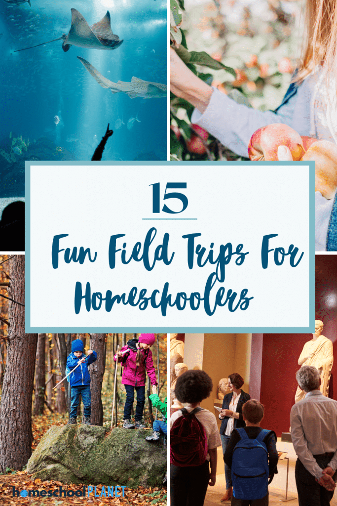 fun field trips for homeschoolers