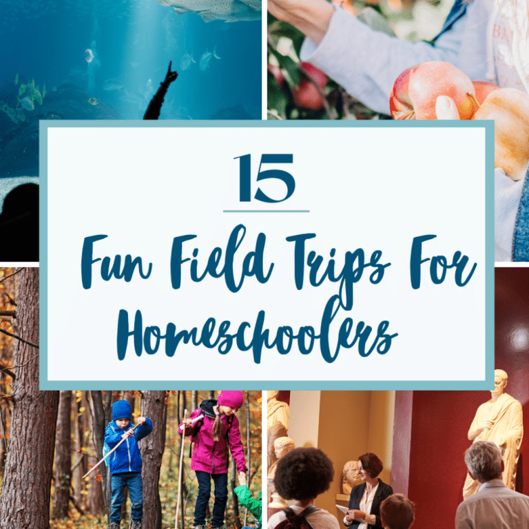 15 Fun And Educational Field Trips For Homeschoolers