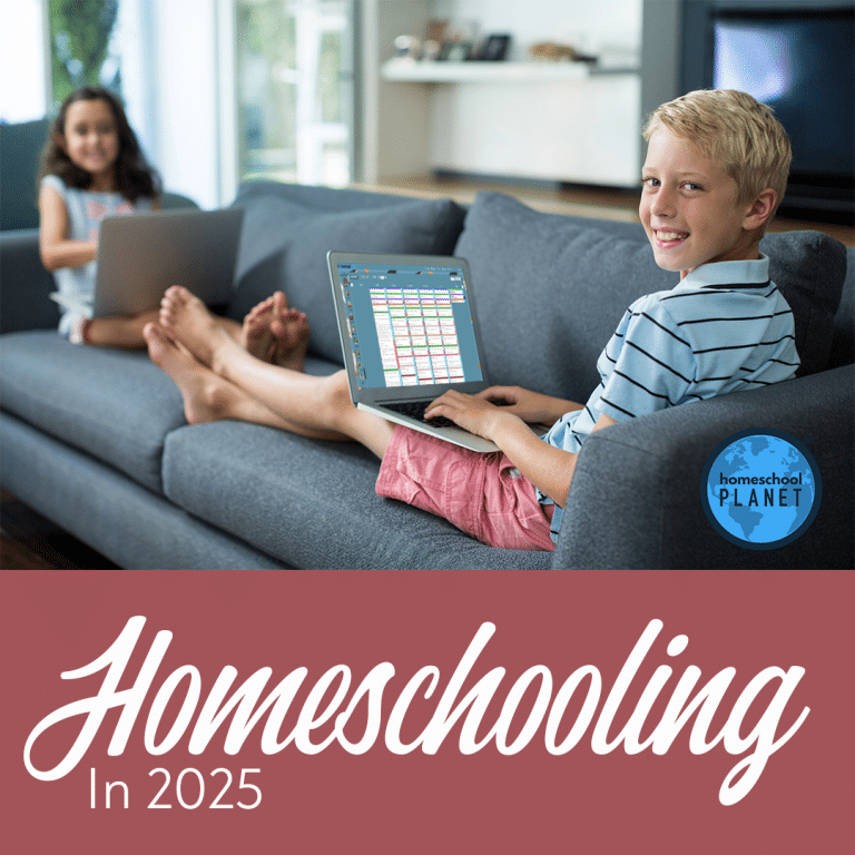 Homeschooling in 2025 Trends: A Case Study