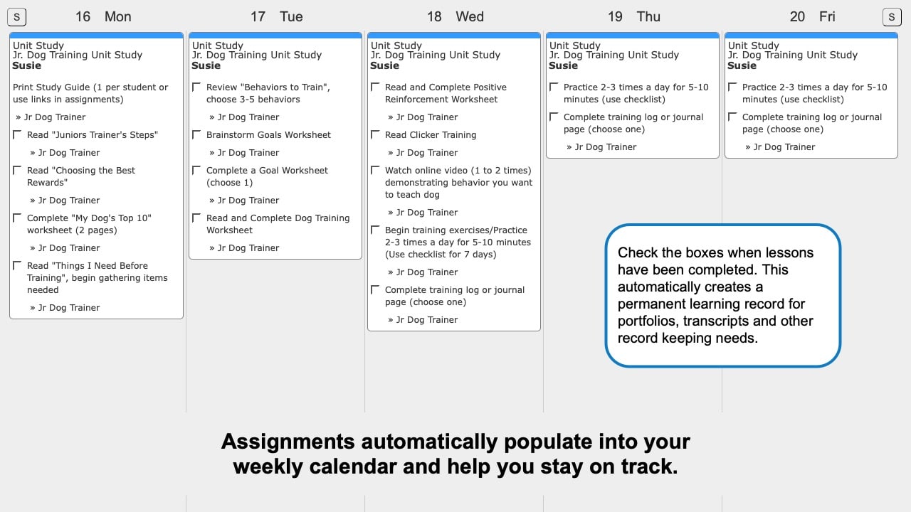Dog Training Weekly View