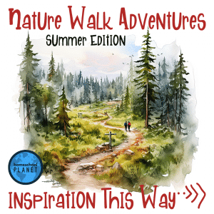 Nature Walk Adventure- Summer