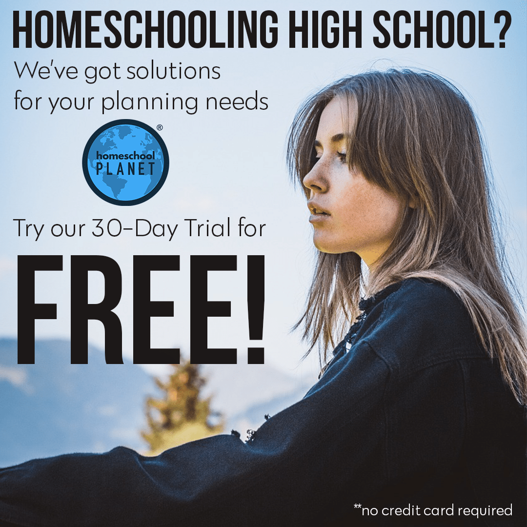 homeschooling high school student