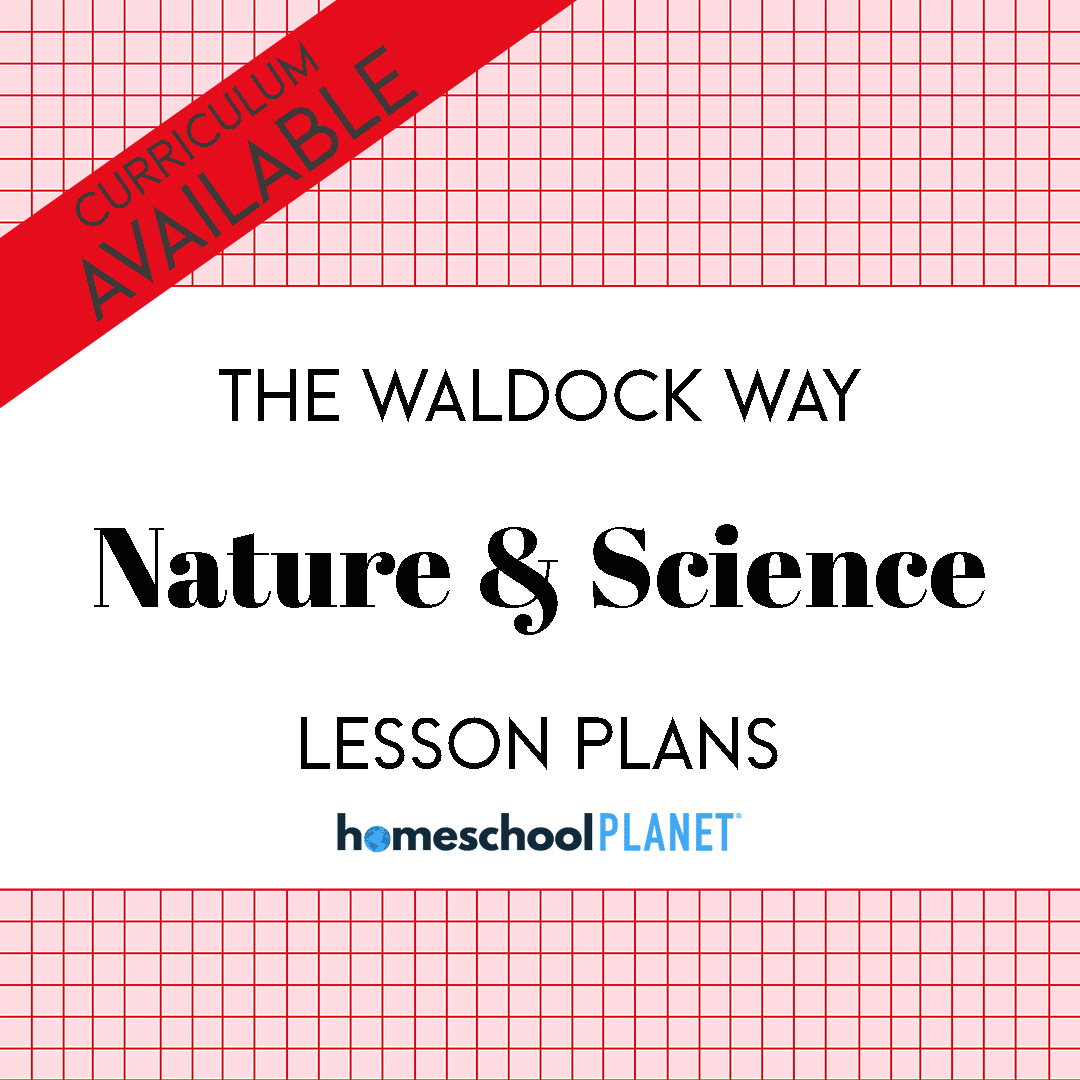 Waldock Way Nature Science Curriculum cover image