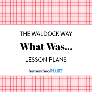 WaldockWay What Was cover image